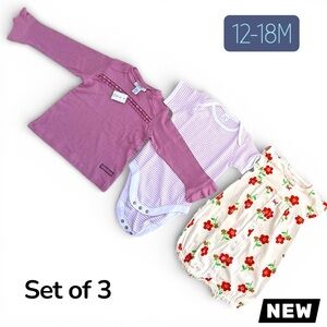 NWT Baby Girl 3 Piece Outfit Set 12–18 Months Carter’s Naartjie Kids